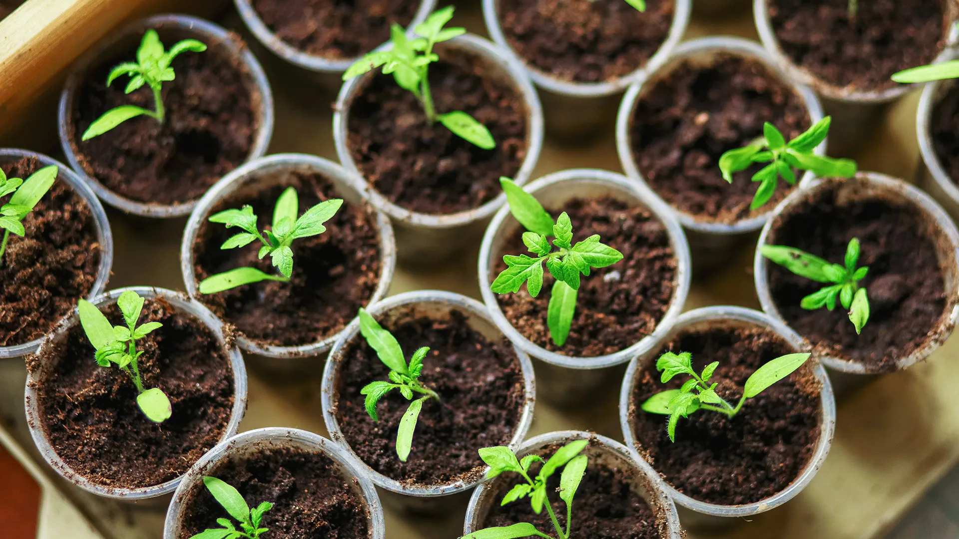 6 ways to start investing on a budget