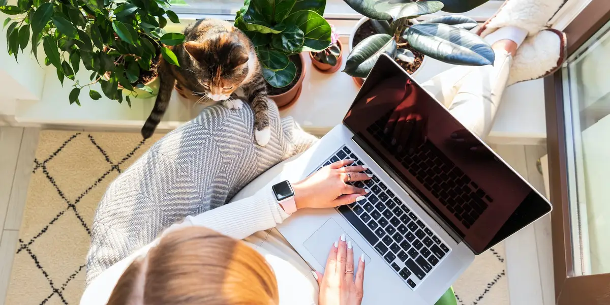 Remote job opportunities are drying up but workers want flexibility more than ever, says LinkedIn study