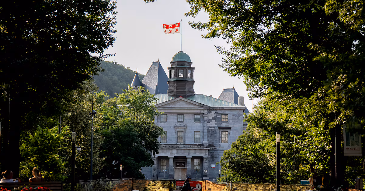 Teachers at these universities are among Canada’s highest median salaries, new data reveals