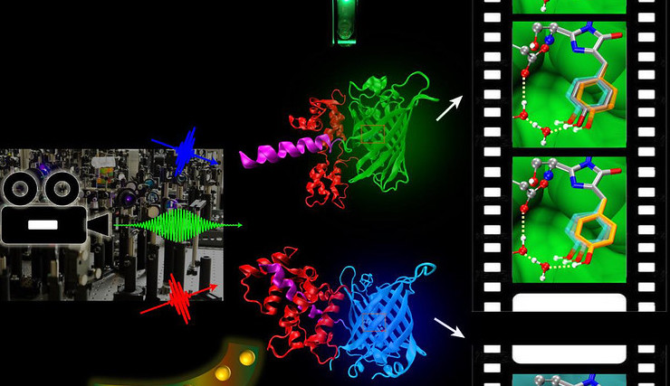 Molecular Movie Tech Unveils New Pollution Defense