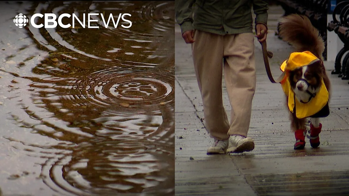 It's raining and pouring in Alberta this week