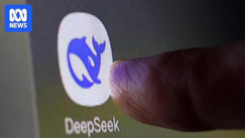 'Happy [and safe] shooting!' AI chatbot's chilling message