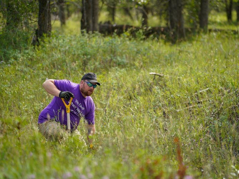 Telus biodiversity plan prioritizes technology, Indigenous partnerships