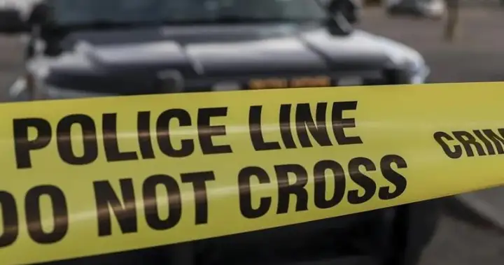 Driver hit and killed while outside vehicle on Highway 401: OPP