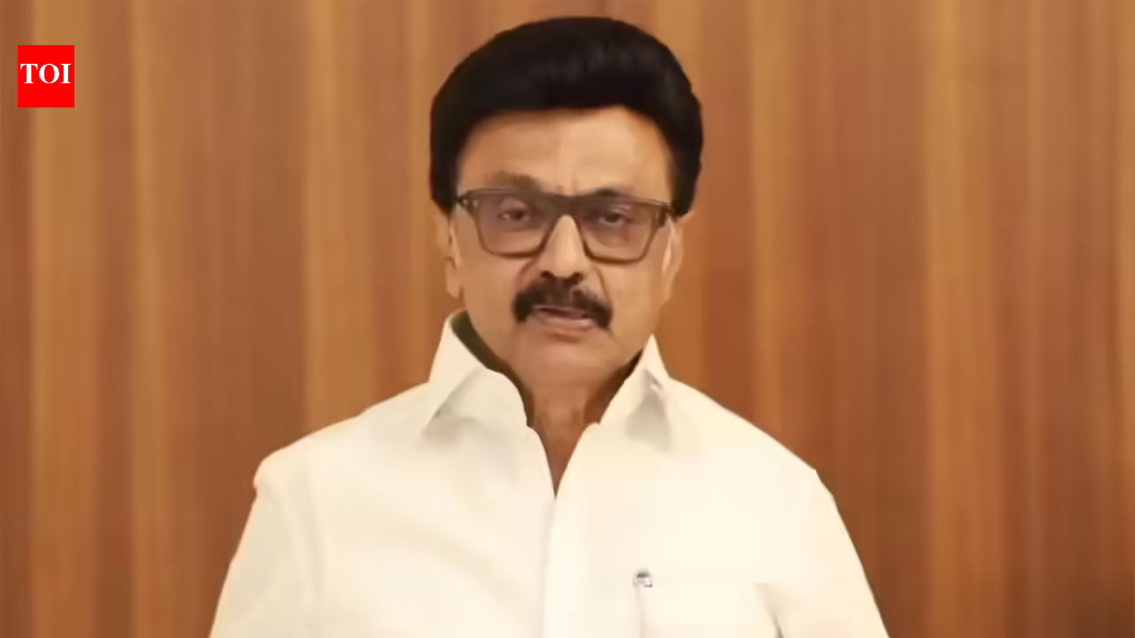 Tamil Nadu verdict: Let Vijay form government, will watch, won’t disturb for 6 months, says MK Stalin