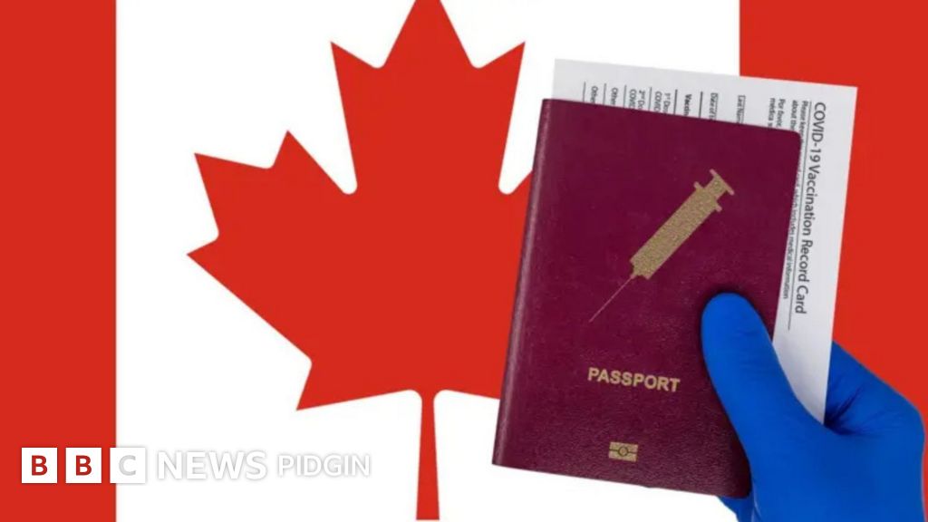 Canada immigration plan 2026 to 2028: Authorities to reduce student visas, prioritize economic immigrants