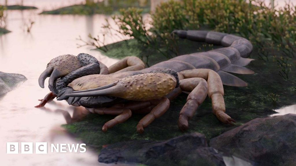 World's largest scorpion roamed UK 400 million years ago, says expert