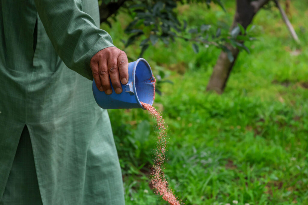 Iran War Jeopardizes Global Food Security