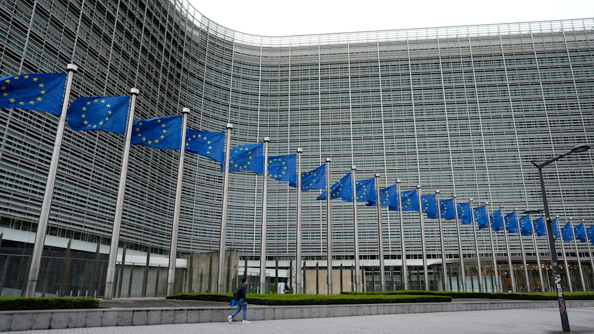 Stéphane Dion says joining EU a 'false good idea'