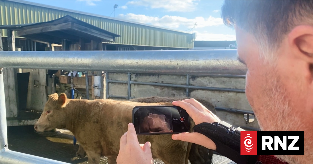 Scanabull technology among Fieldays Innovation Award winners