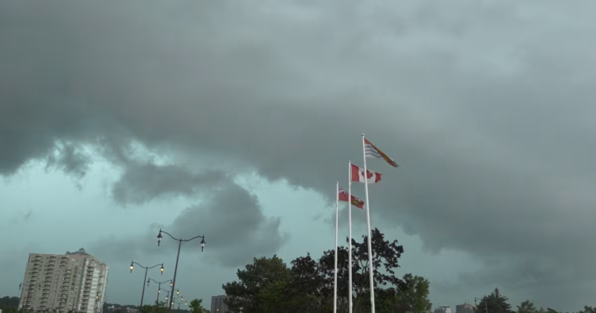 Environment Canada alerts of toonie