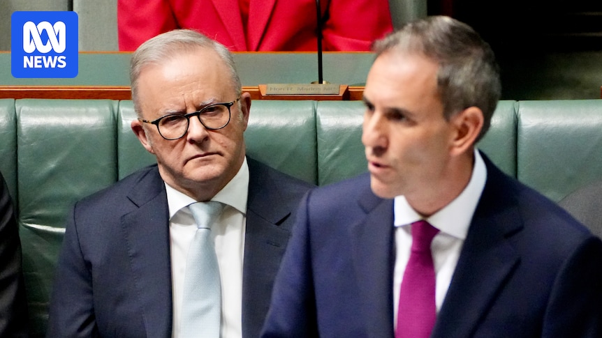 Labor's CGT plan flawed but better than what we have, economists tell inquiry
