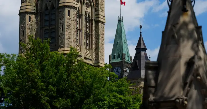 Liberals to introduce privacy reform bill expected to address AI, data