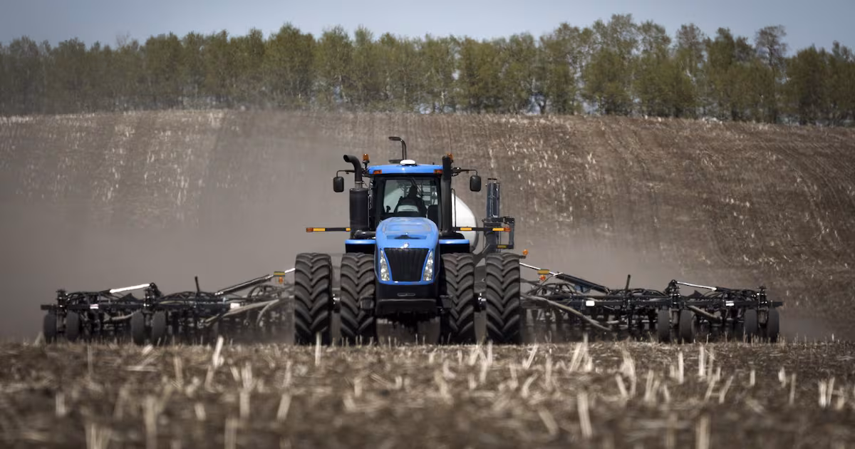 Competition Bureau to examine food supply chain competition