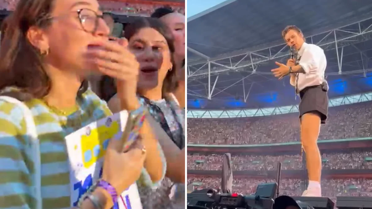 Harry Styles delights fan who works on 'dog bus'
