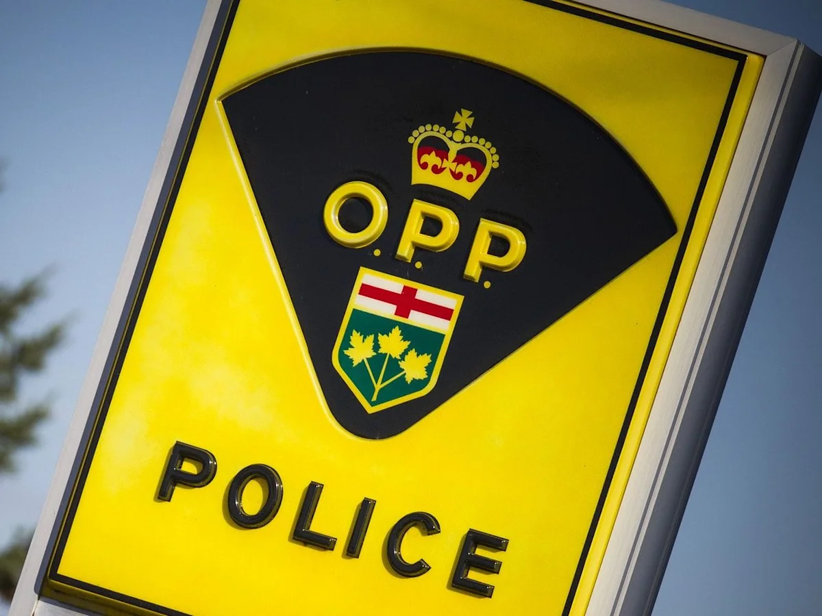 Man facing multiple charges after domestic dispute in Cobden