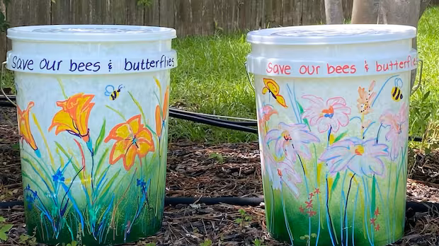 DIY 'bucket of doom' mosquito traps are going viral as bug season begins to bite