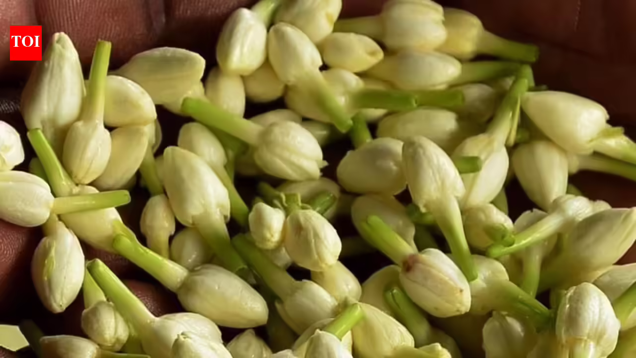 Diaspora demand for jasmine lifts air cargo movement