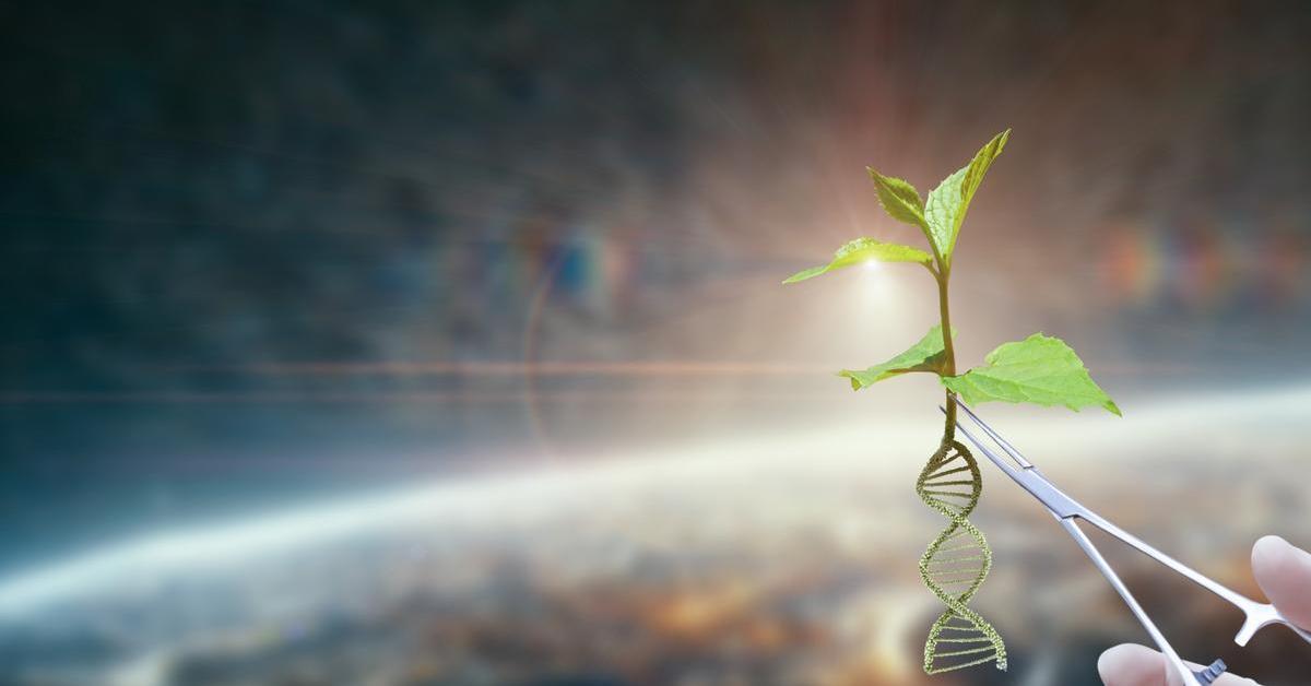 Will artificial intelligence be able to create life?