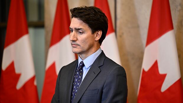 Canada spat leads India newspapers as trade minister works to reassure business
