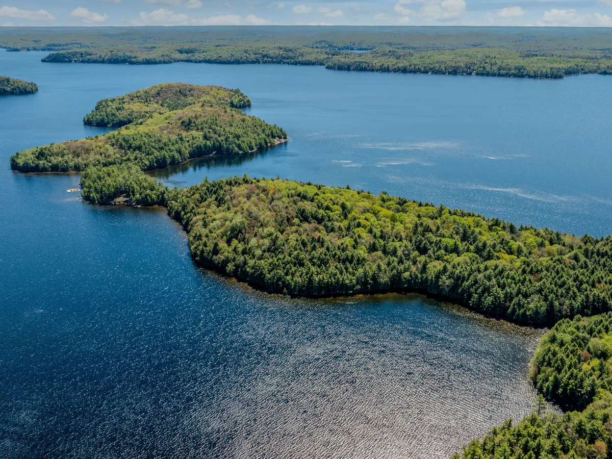 News of the day: Cottage country gentrification, Bank of Canada's economic dilemma, student loan forgiveness, all
