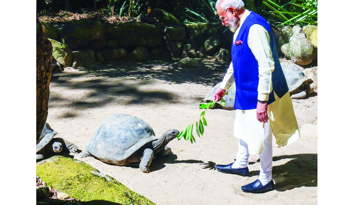 PM Modi Receives Grand Welcome in Seychelles Ahead of National Day Celebrations