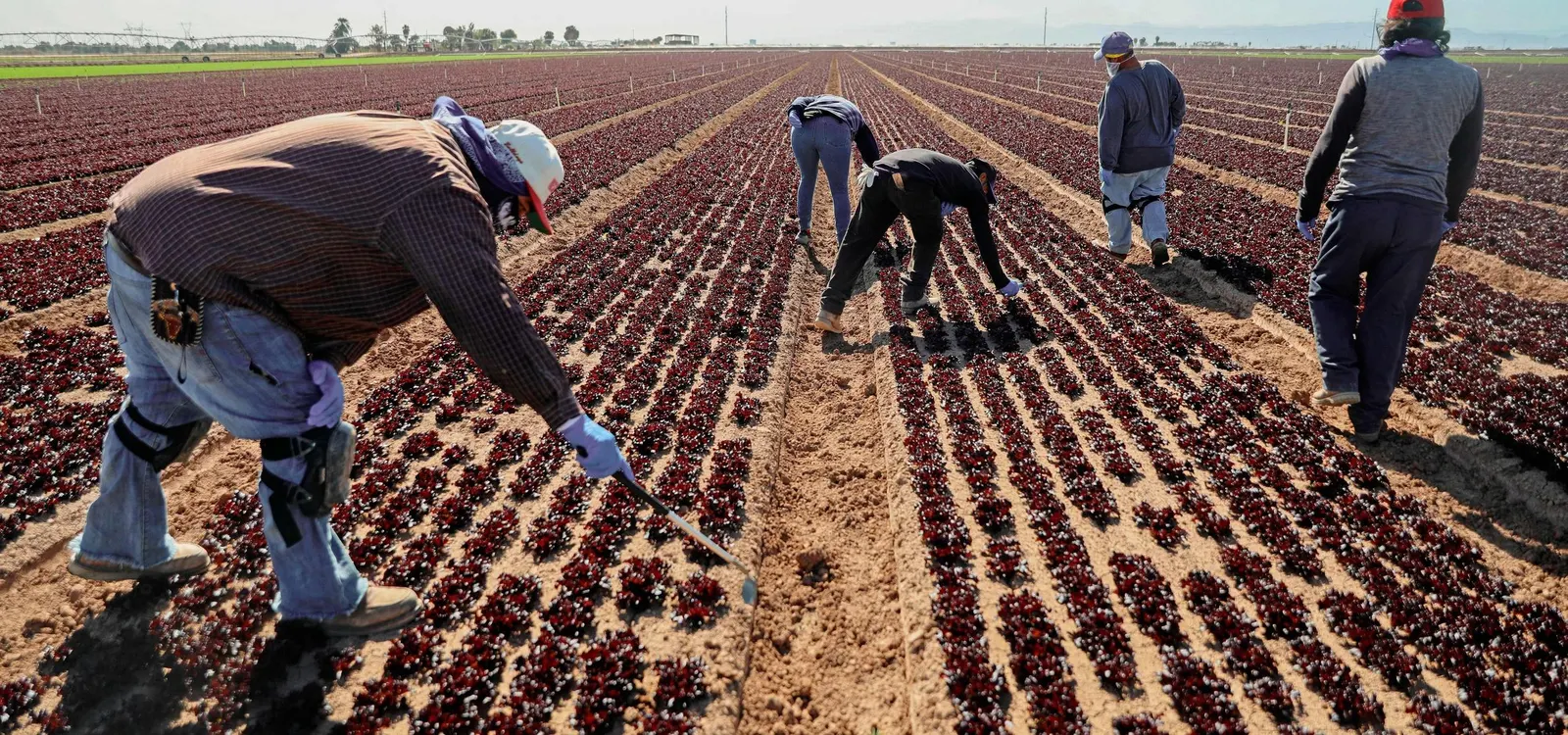 The Ultimate Growth Story? Why Anterra Is Backing Farming Startups