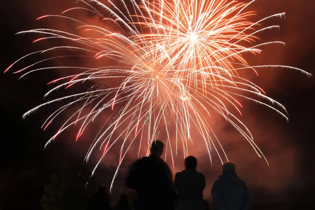 Canada Day won’t include fireworks to reduce wildfire risk