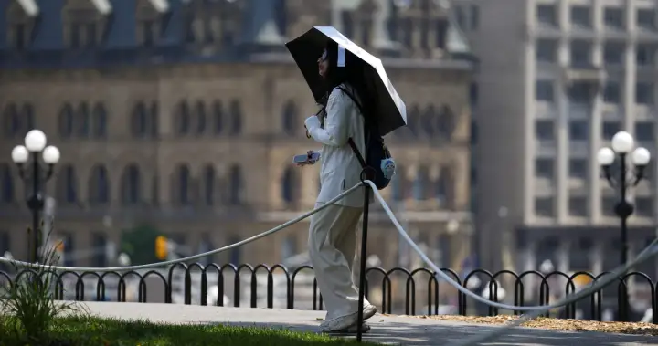 What Canada’s colour
