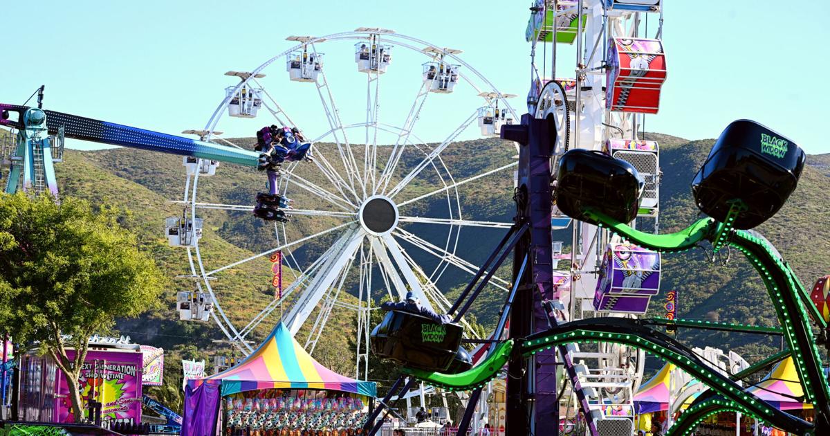 LPD deploys automated surveillance technology to monitor Flower Festival crowds