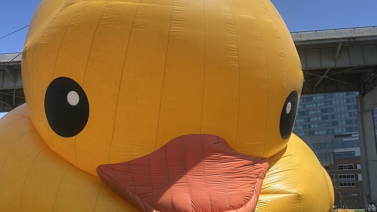 World's Largest Rubber Duck returns to Buffalo for Fourth of July weekend
