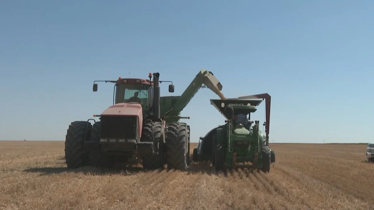 China imposes 73.5% tariff on Canadian pea starch