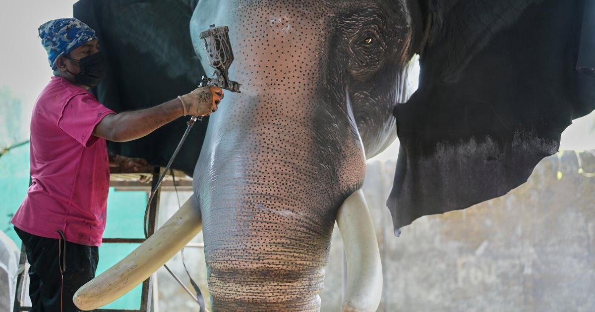 Robotic elephants are replacing live ones at Kerala temple festivals, in photos