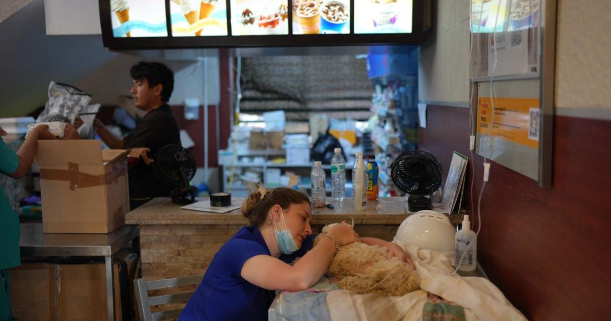 Venezuelan earthquake survivors search for missing pets at 'Hospital McDonald's'