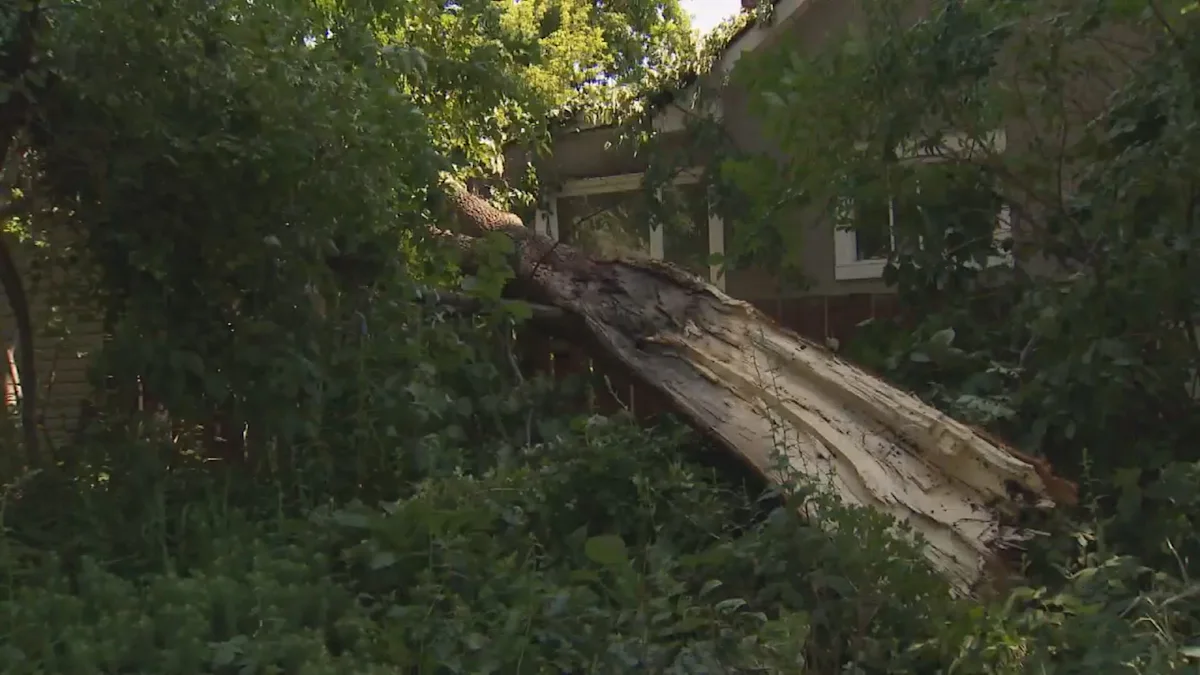 Ottawa shifts to recovery after historic Canada Day storm