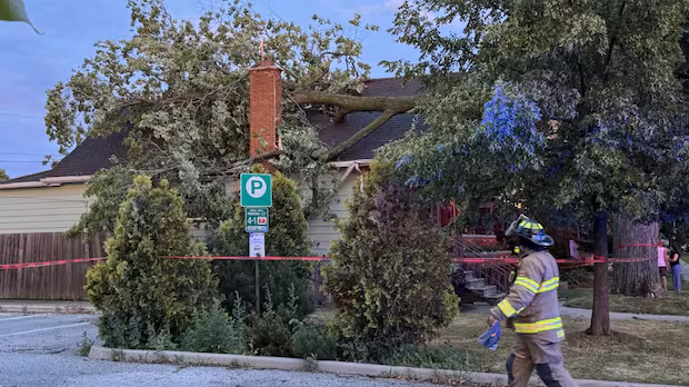 High winds down trees, sudden storms knock out power in southwestern Ontario