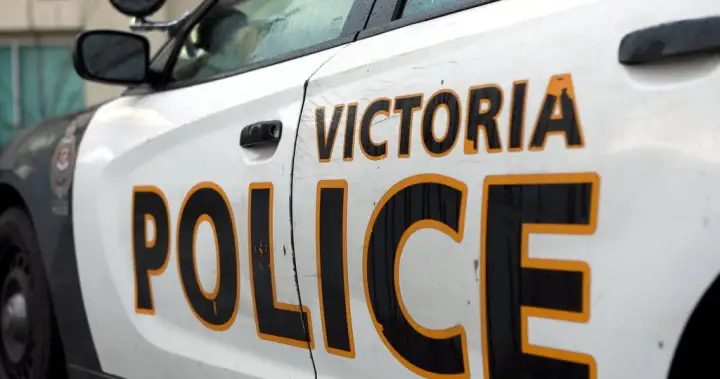 3 hurt, 2 arrested after confrontation near Victoria’s Beacon Hill Park