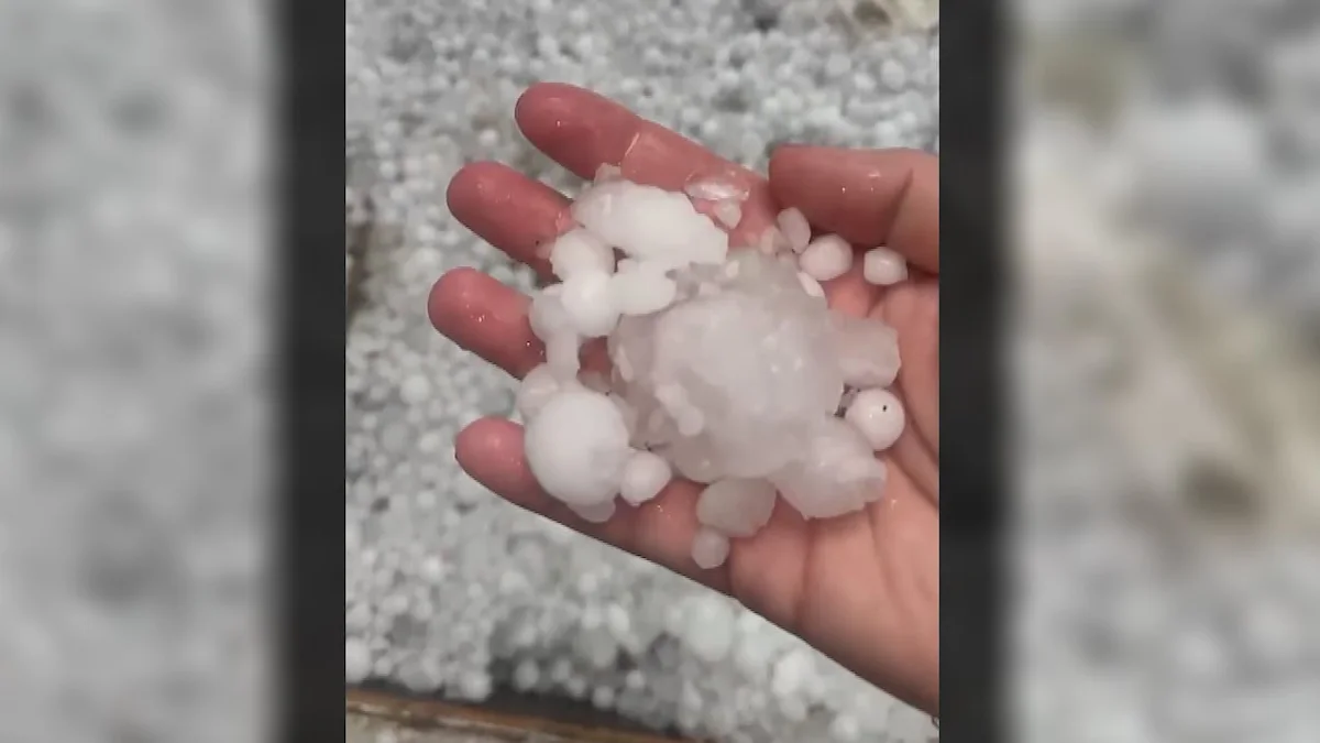 Southwestern Manitoba battered by hailstorm