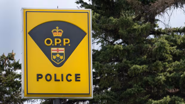 Driver killed in crash south of Tweed