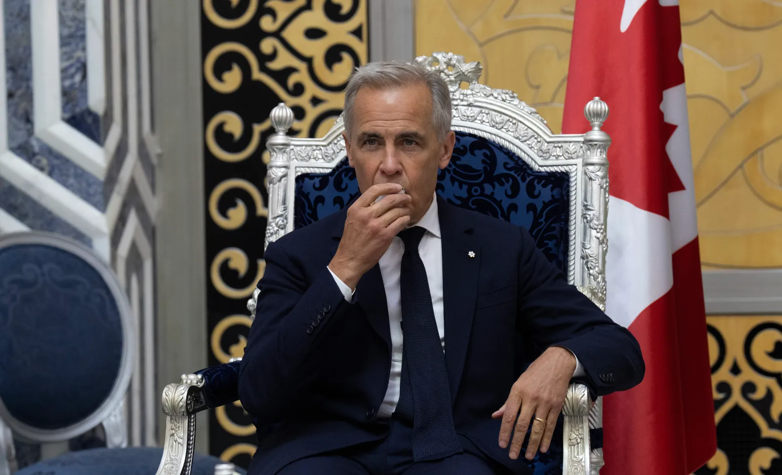 In the news today: Carney in Saudi Arabia, wildfire update, Ontario cancer coverage