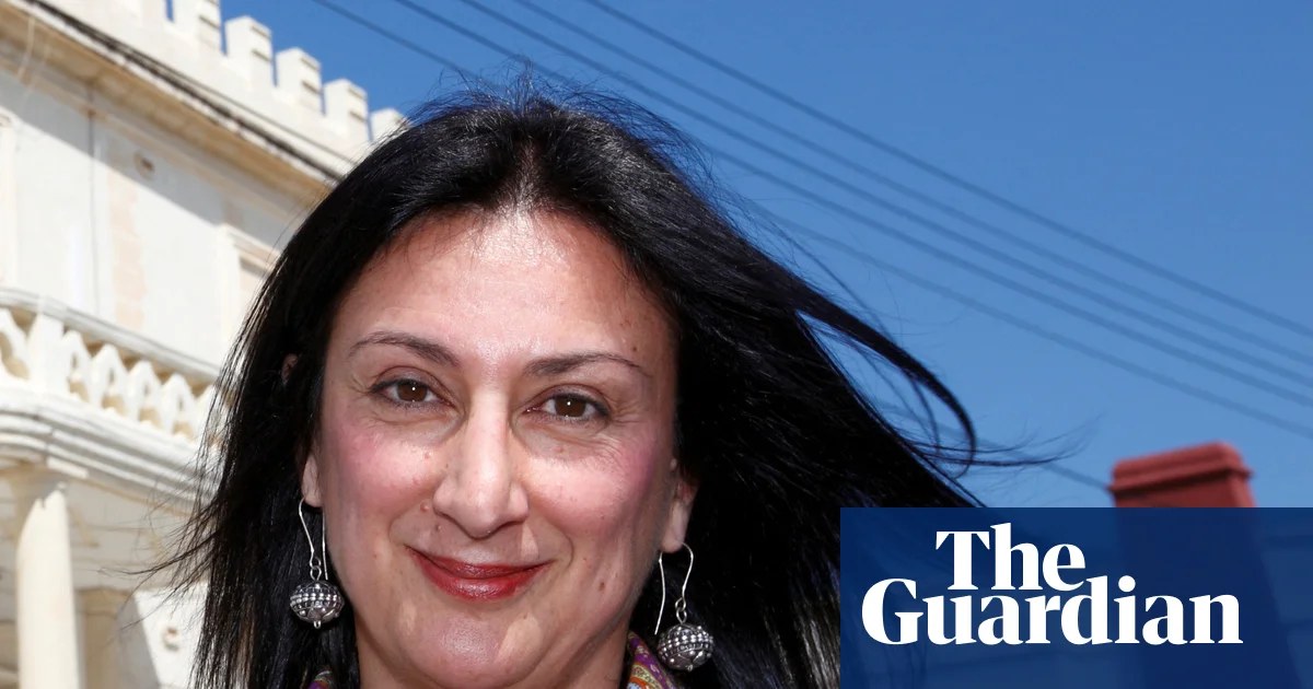 Daphne Caruana Galizia screamed in panic before explosion that killed her, court hears