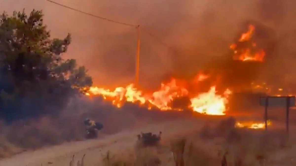 12 die in wildfire in Spain amid soaring temperatures