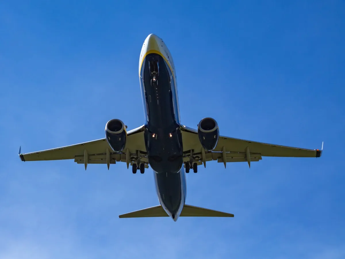 Passenger sucked out after window detaches mid