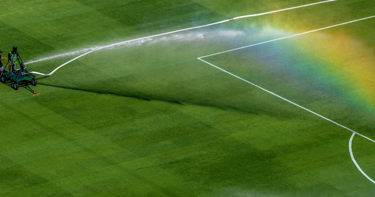 Want a piece of the World Cup final field? FIFA is selling the grass for $450