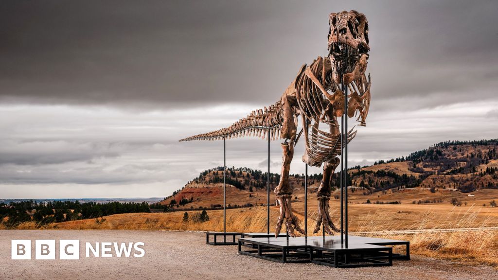 T. rex fossil could become most expensive dinosaur ever sold