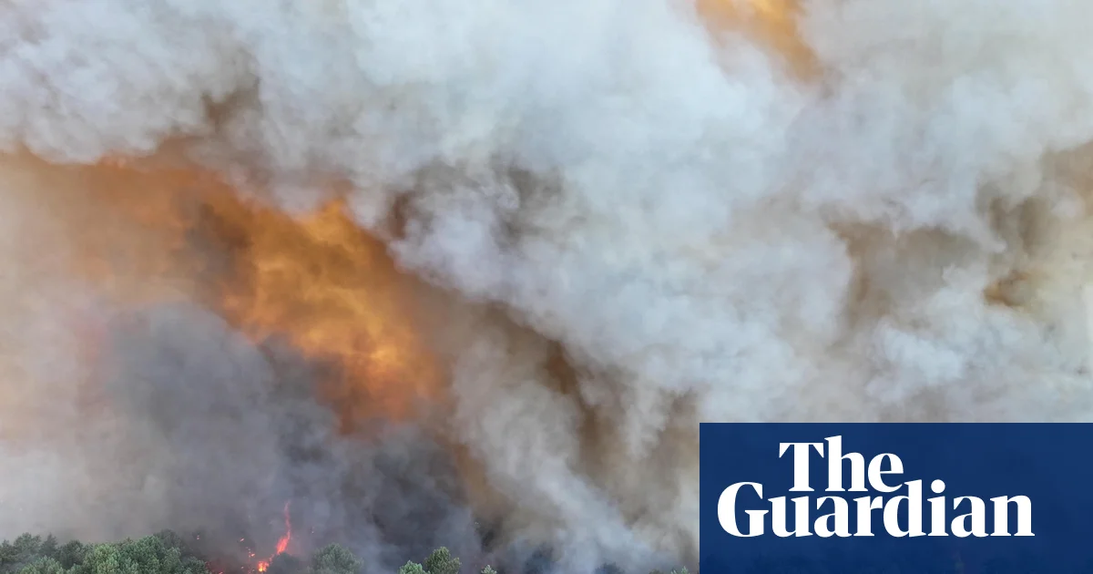 Fire bomber planes battle Fontainebleau forest blaze near Paris | Wildfires