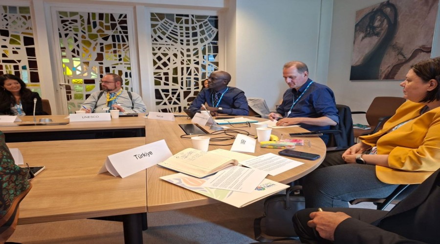 Kenya advocates for environmental sustainability to be central to Global AI Governance