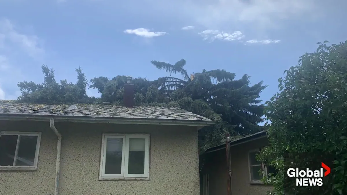 Cleanup efforts underway in Edmonton after intense weekend storms