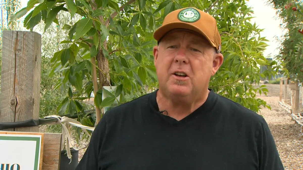 Calgary dog park safety in question over trees