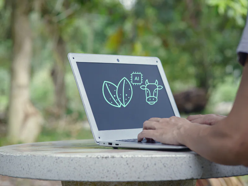 What to consider when adopting artificial intelligence on the farm